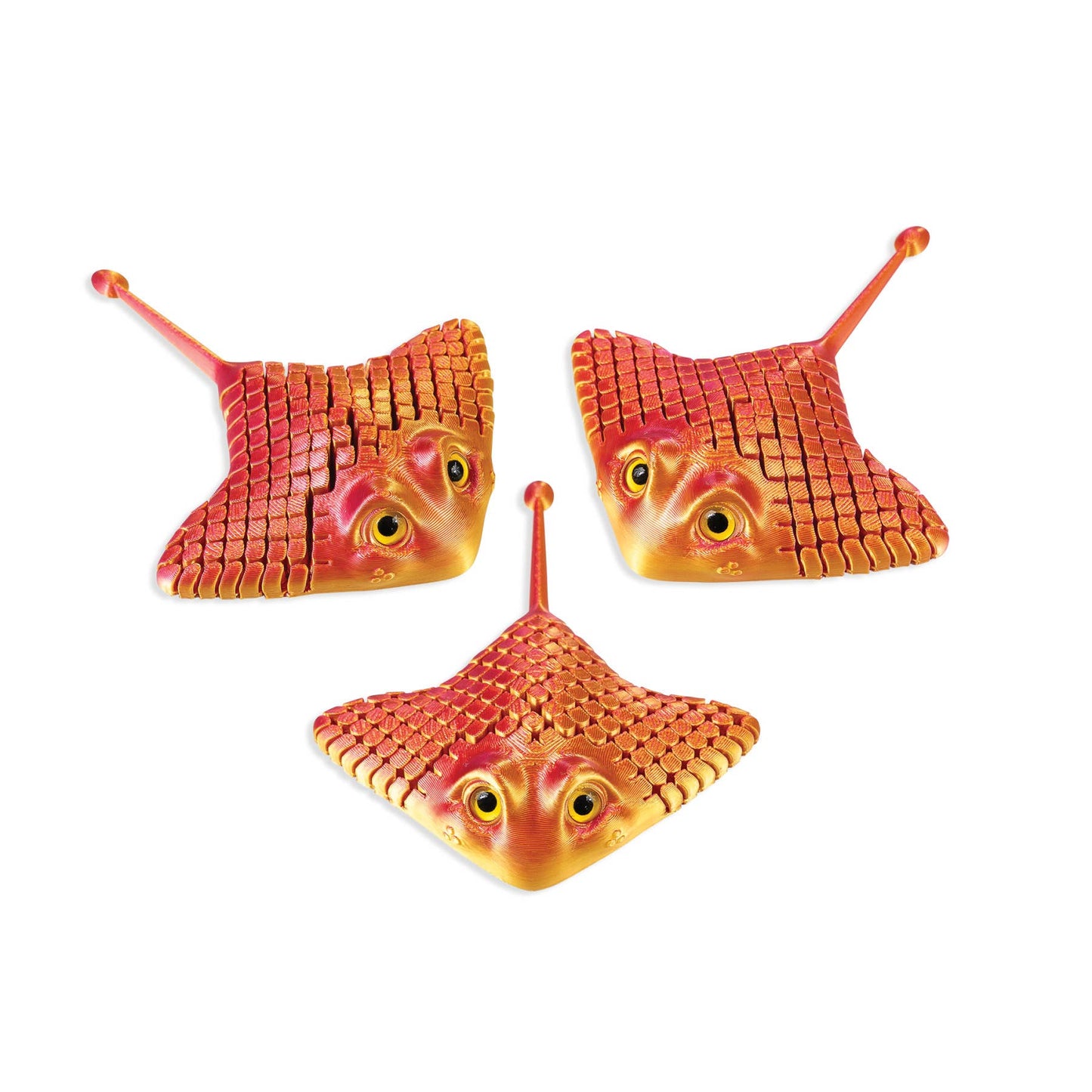 3D PRINTED MANTA RAY     12/BOX