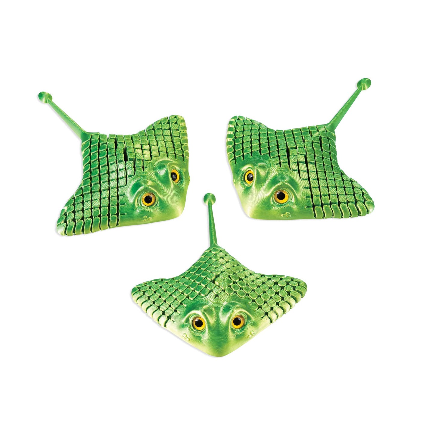 3D PRINTED MANTA RAY     12/BOX