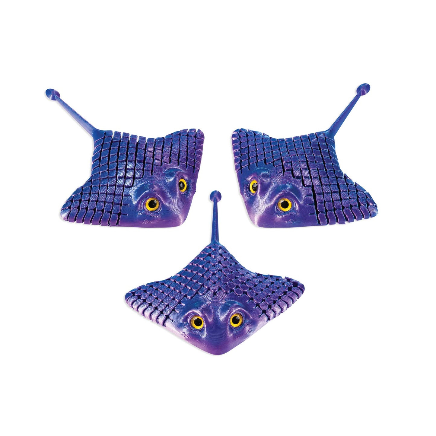 3D PRINTED MANTA RAY     12/BOX