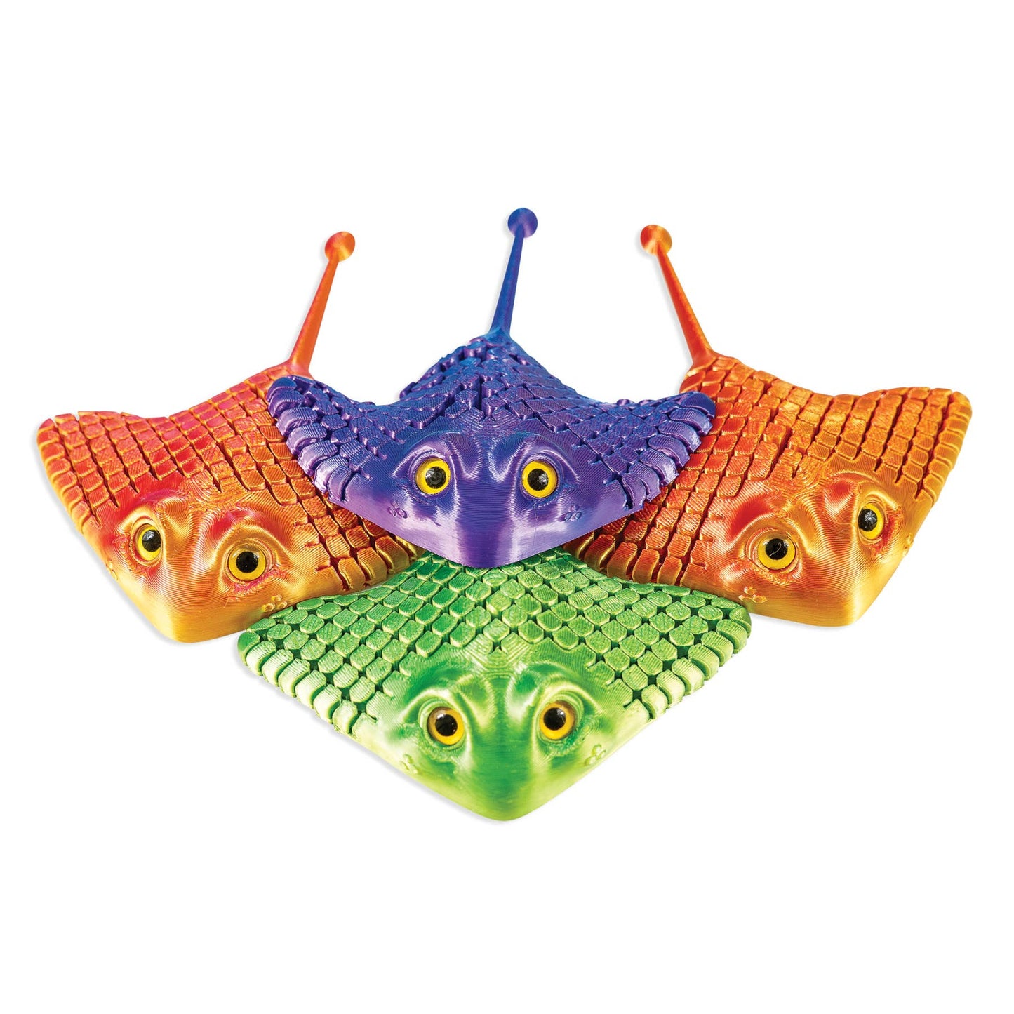 3D PRINTED MANTA RAY     12/BOX