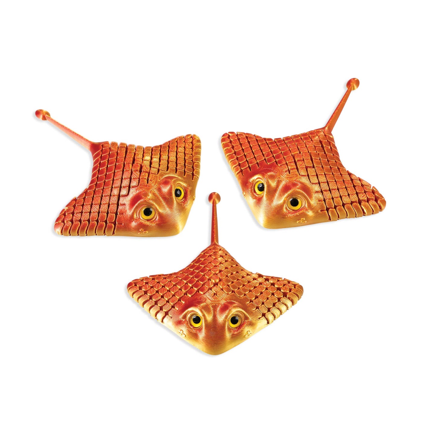 3D PRINTED MANTA RAY     12/BOX