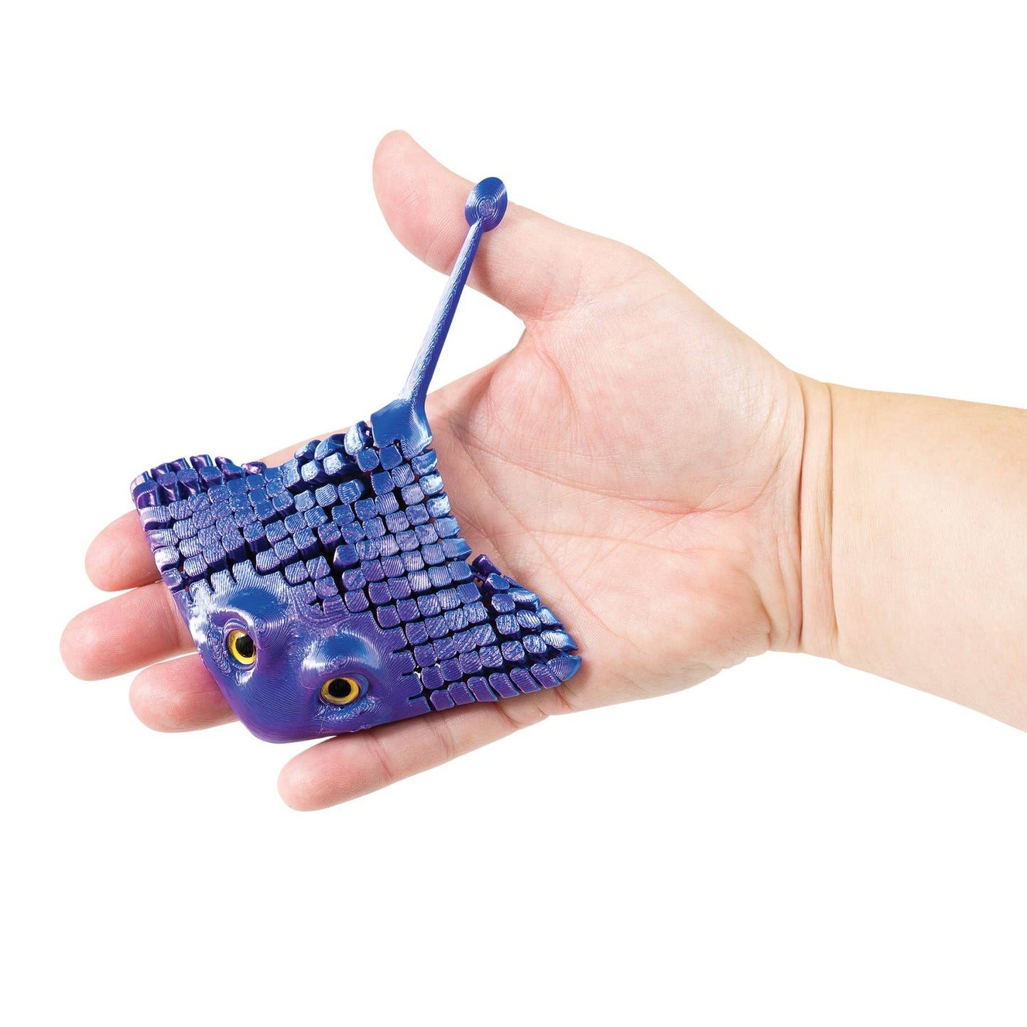 3D PRINTED MANTA RAY     12/BOX